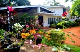 Anuradhapura Guest House