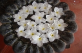 Anuradhapura Guest House