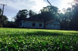 Baddegama House