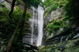Kandy Other