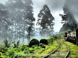 Sri Lanka holiday Car hire