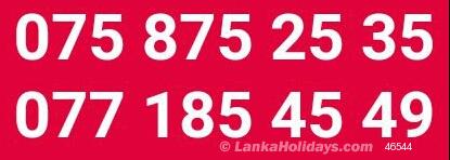 Sri Lanka holiday Car hire