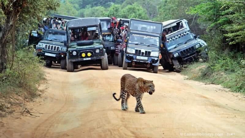 Sri Lanka holiday Car hire