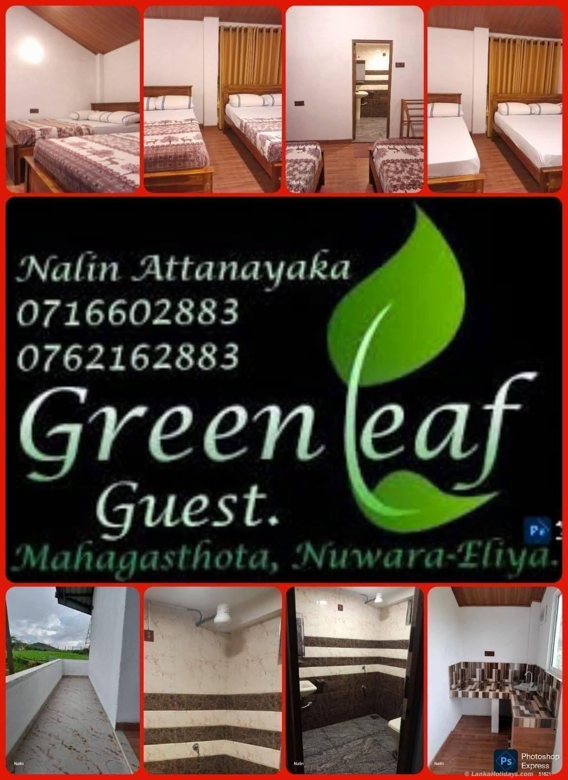 Nuwara Eliya Guest House