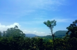 Ella Guest House