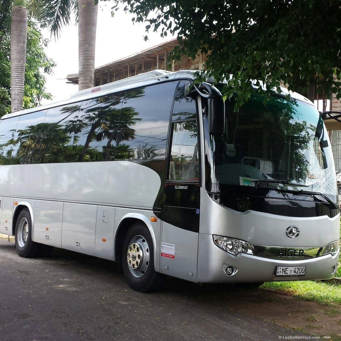 any Bus/Coach
