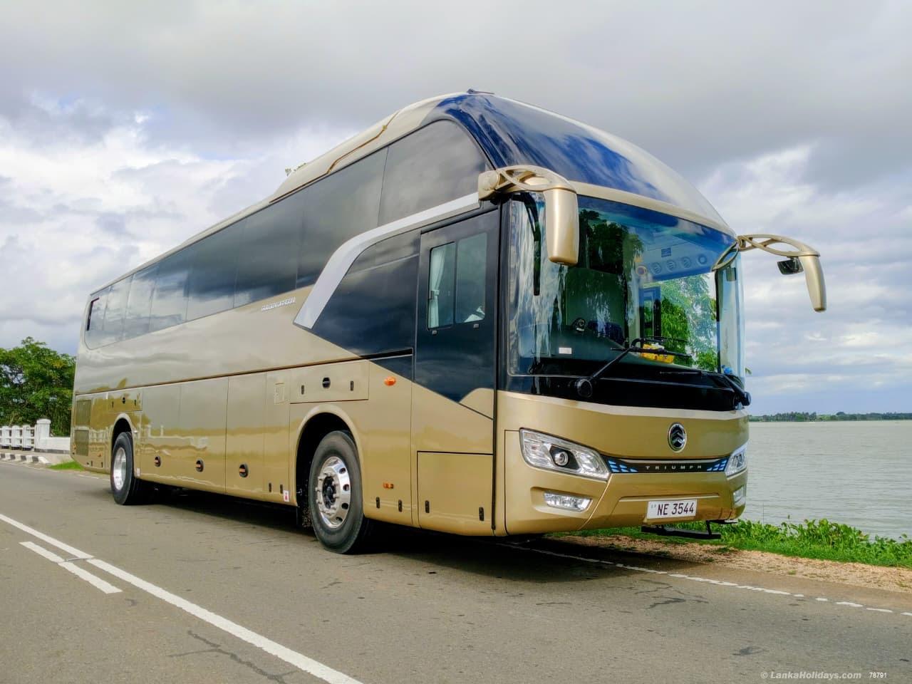 any Bus/Coach